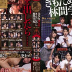 JAV SUB โรงเรียนสยอง รุมเย็ดคนท้องน้ำอสุจิแตกใน AV IPZZ-052 AV Pornstars Aika, Akari Mitani, Aoi Kururugi, Eimi Fukada, Elly Akira, Hibiki Otsuki, Kurea